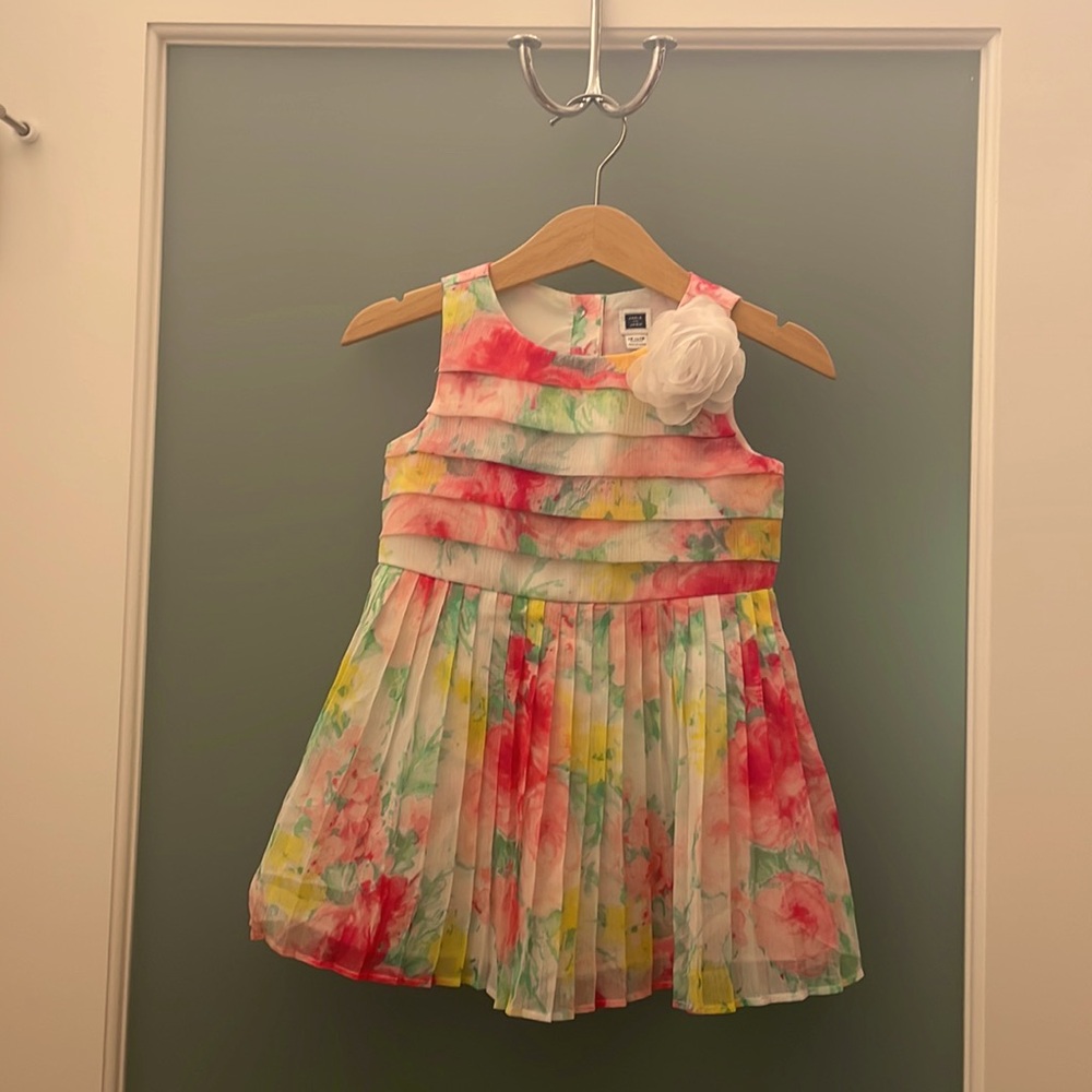 Janie and Jack Girl Special Occasion Floral Dress - 12 to 18 months